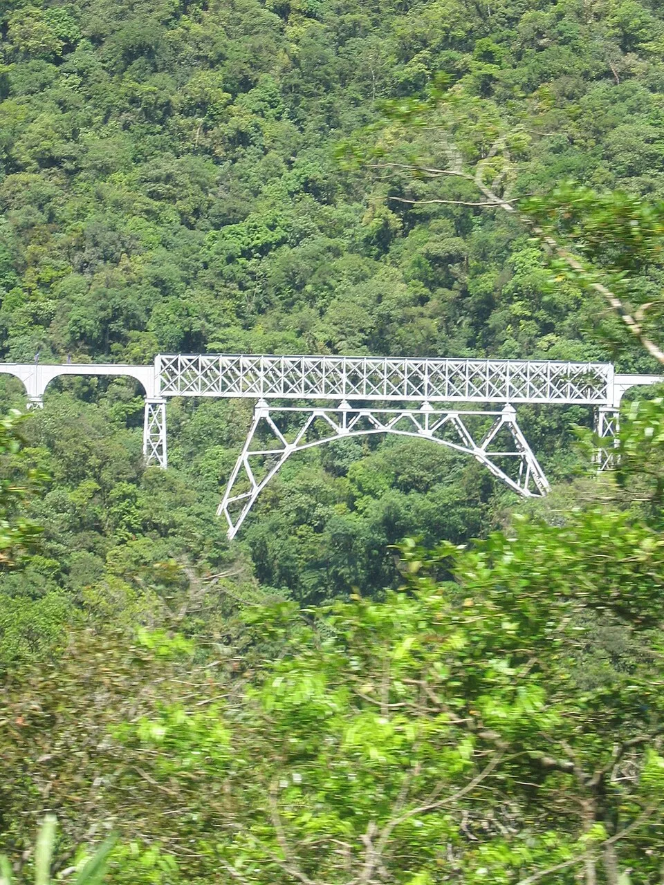 Steel truss bridge in the forest